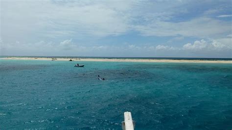 Michaelmas Cay (Cairns) - 2021 What to Know Before You Go (with Photos ...