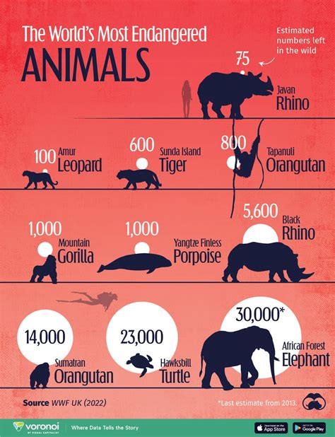 Are There Any Endangered Rodents