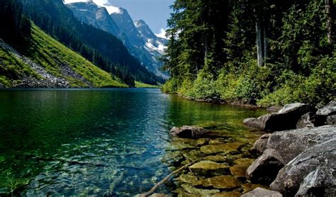 Image result for Simple Nature Computer Wallpaper