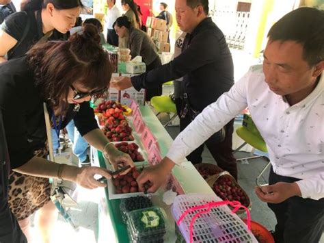 2023十县（市）域特色农产品展销会活动启动仪式在南宁举行