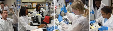 UTMB Clinical Laboratory Science Summer Immersion Program