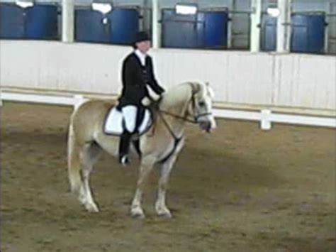 Image result for USDF Training