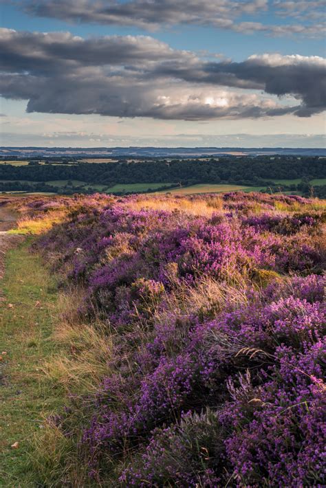 State of Natural Capital Report for England is now published – Natural ...
