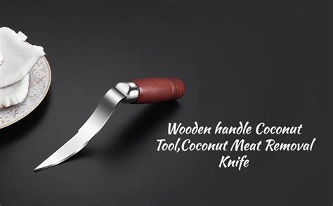 Buy Baskety Coconut Meat Removal Knife Stainless Steel Tool for ...