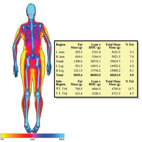 Body Composition Examples
