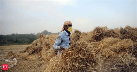 Procurement of rabi harvest may get disturbed, warns AIMTC if NHAI ...