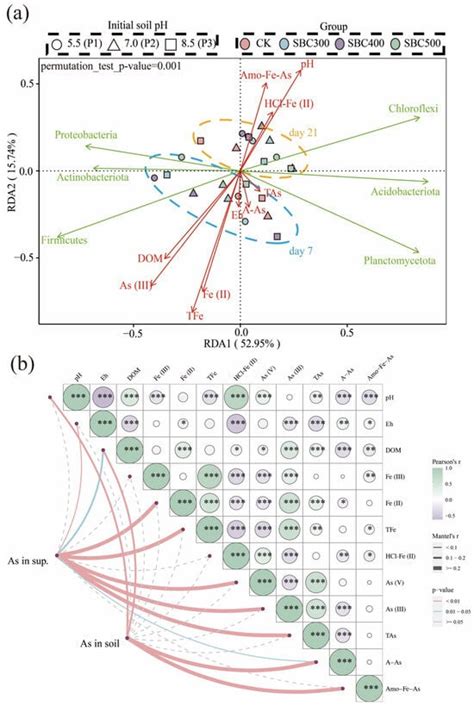 The Mechanism of Arsenic Release in Contaminated Paddy Soil with Added ...