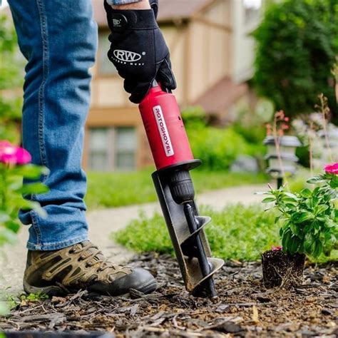 Home Digging 的图像结果