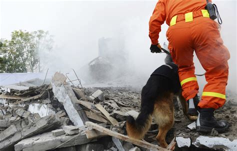 Image result for Disaster Management Videos