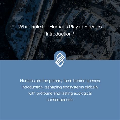 Species Interactions → Term