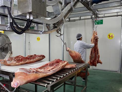 生鲜部猪肉分割技术图解-凯斯乐（北京）科技发展有限公司