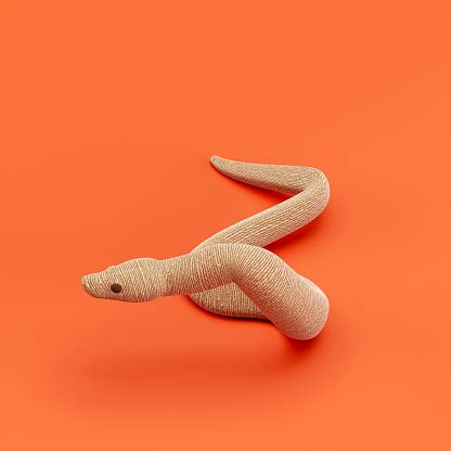 Image result for Python Stuffed Animal