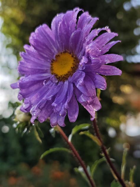 Nike+Pro+Ass Photos, Download The BEST Free Nike+Pro+Ass Stock Photos ...