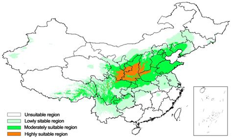 Prediction of Potentially Suitable Distribution Areas for Prunus ...
