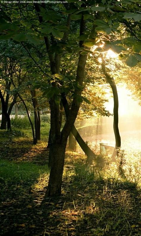 Hd Nature Wallpaper Pack