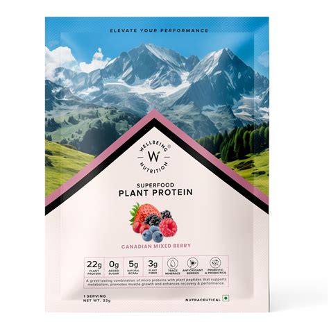 Wellbeing Nutrition Organic Vegan Plant Protein Isolate| 22g Protein ...