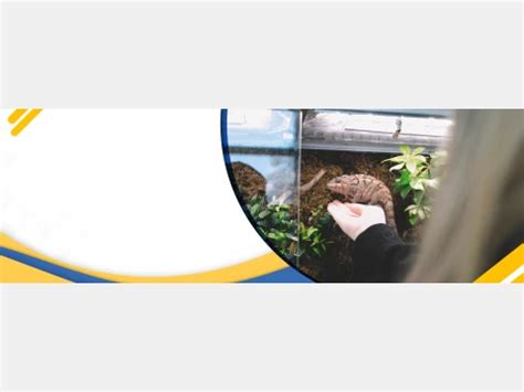Master of Science in Zoology (M.Sc.)