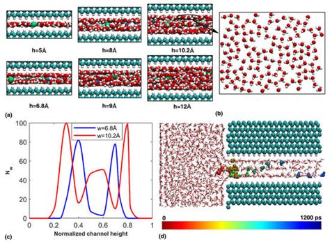 Atomistic Simulations of the Permeability and Dynamic Transportation ...