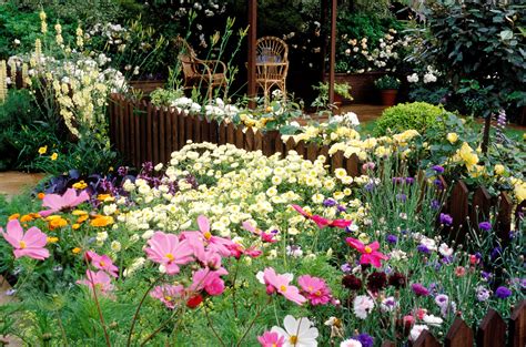 Cutting Flower Garden Ideas at Nick Mendoza blog