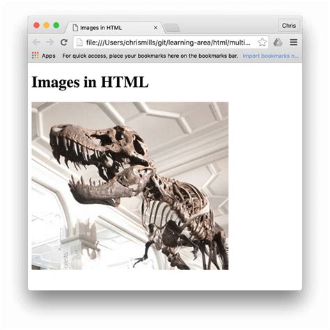 Image result for How to Make Image in HTML