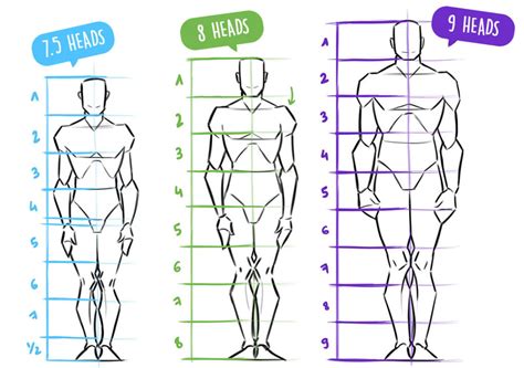 ZEPHY | Drawing the Human Body: Getting Proportions Right