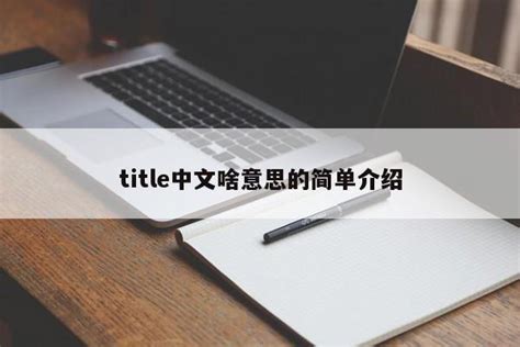 title中文啥意思的简单介绍-昕阳网