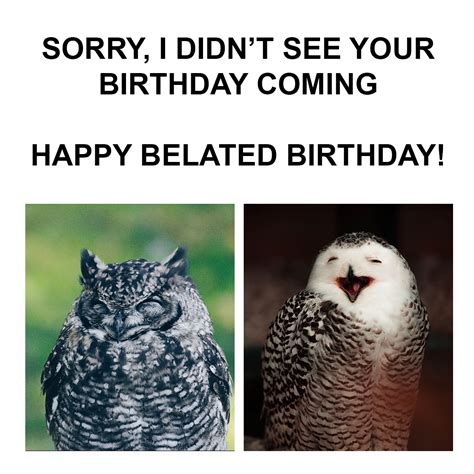 Belated Birthday Funny Animals