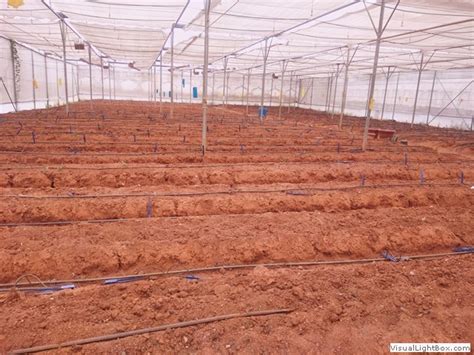 Horticulture Farm - Public Gardens