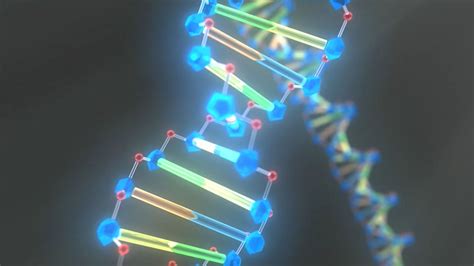 Dna Structure 3d Wallpaper