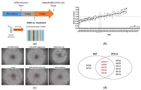 Anti-Obesity Natural Products Tested in Juvenile Zebrafish Obesogenic ...