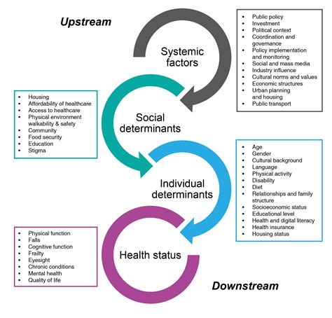 A systems approach to aid policy action on falls prevention among ...