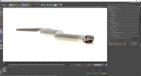 Natrix Natrix Rigged for Cinema 4D 3D model | 3D Molier International