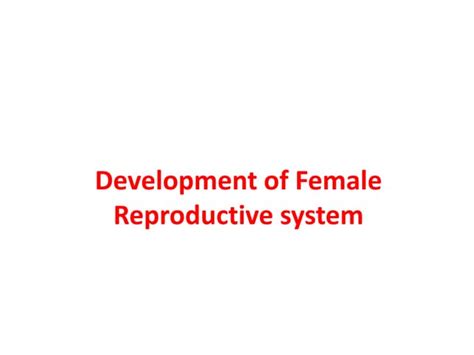 Image result for Developing Female