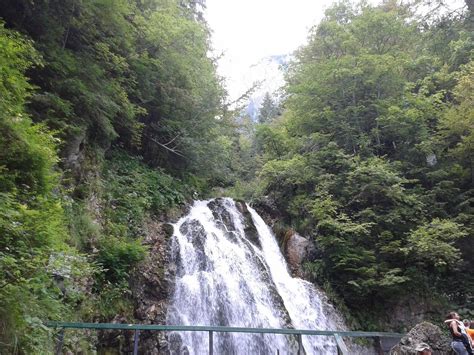 THE BEST Busteni Zipline & Aerial Adventure Parks (2025)