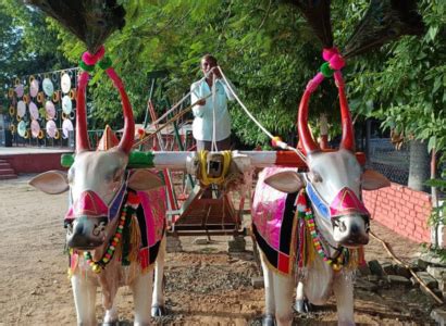 info@mahuliagrotourism.in