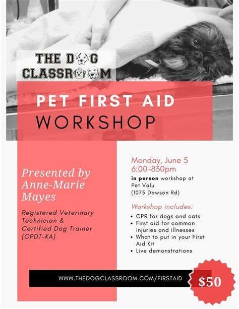Pet First Aid - IN PERSON - June 5, Pet Valu Thunder Bay, 5 June to 6 ...