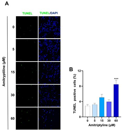 The Antidepressant Drug Amitriptyline Affects Human SH-SY5Y Neuroblastoma Cell Proliferation and ...