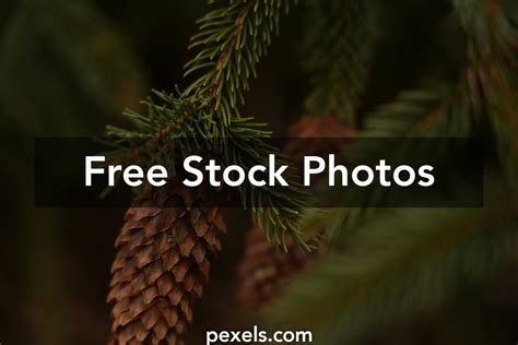 Image result for Cone 400 Ps2 Code