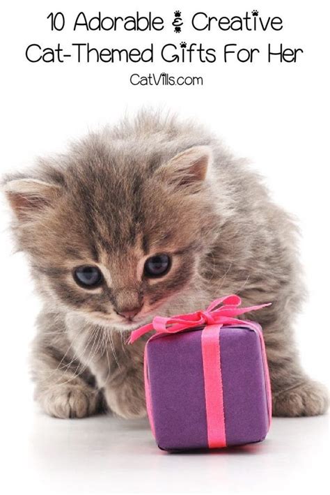 Cat Lover Gift Ideas For Her | 7petals.in