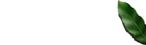 Even more responsible sourcing - Clarins