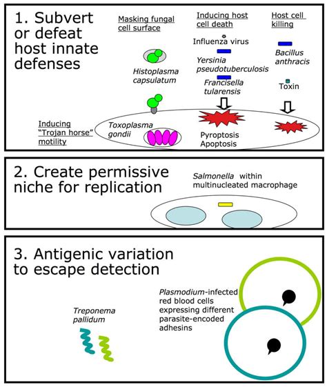 Image result for Pathogenicity of Microorganisms