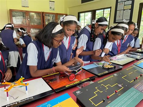 How to Do a Science Project 的图像结果