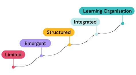 Image result for Learning Maturity Model