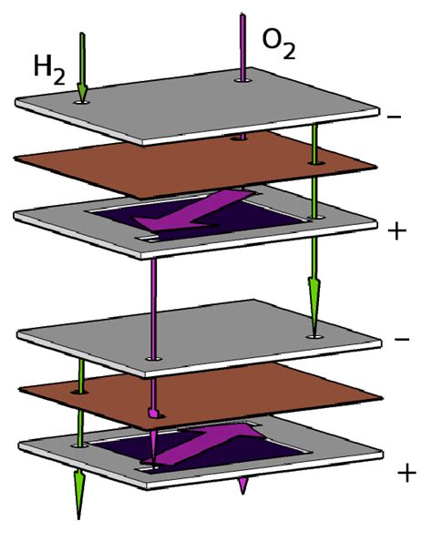 Image result for Large Cell Stack