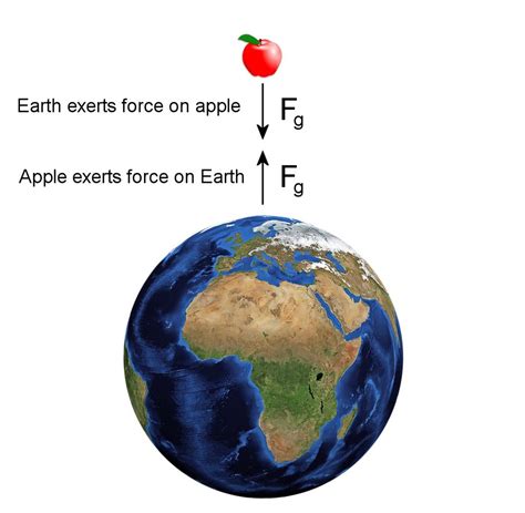 人的终端速度，自由落体和阻力-鹰定位gydF4y2Ba - 188jdc金宝搏
