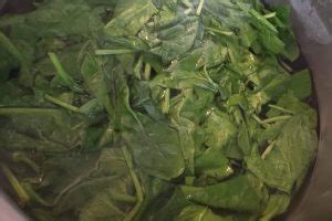 Recepti – Provjereni i jednostavni recepti za kuhanje