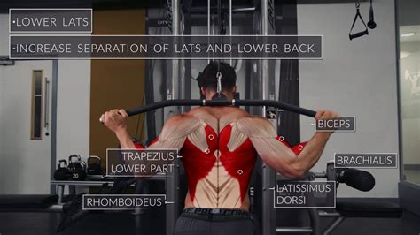 Image result for How to Develop Back Muscles
