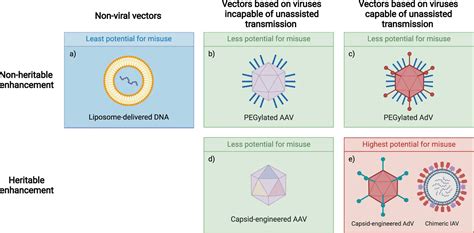 Gene Vector 的图像结果