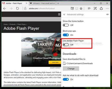 Flash Plug-In Edge 的图像结果
