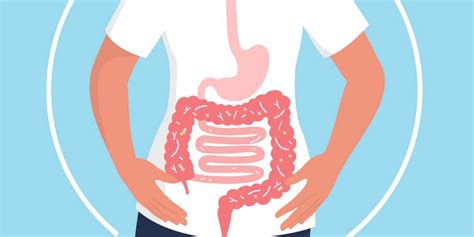 Improve Gut Health: A Road To Digestive Well Being – NAMHYA
